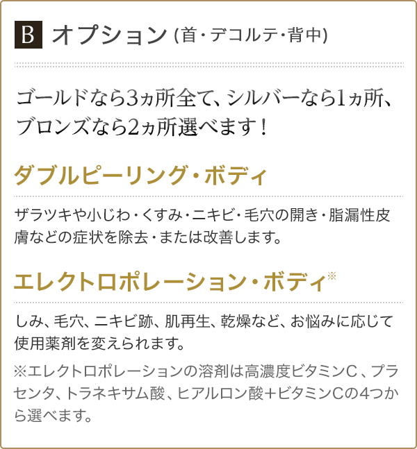 オプション(首・デコルテ･背中) ゴールドなら3ヵ所全て、シルバーなら1ヵ所、ブロンズなら2ヵ所選べます！