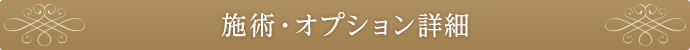 施術・オプション詳細