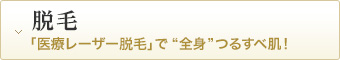 脱毛 「医療レーザー脱毛」で“全身”つるすべ肌！
