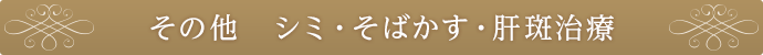 その他　シミ・そばかす・肝斑治療