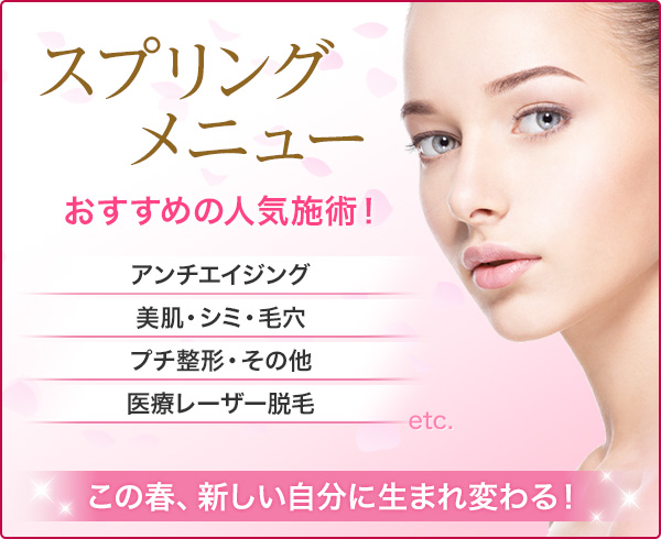 スプリングメニュー 人気のメニューが手軽に試せる! 理想の