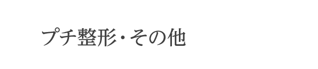 プチ整形・その他